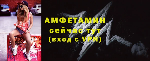 прущие грибы Балабаново