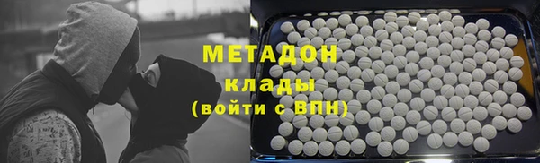 прущие грибы Балабаново
