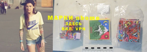 прущие грибы Балабаново