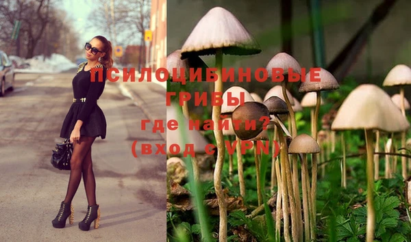 прущая мука Баксан