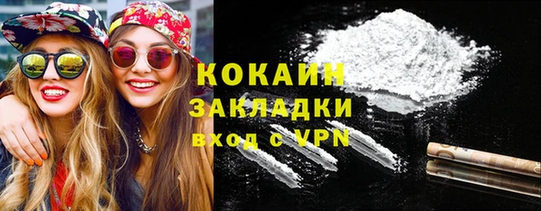 прущие грибы Балабаново