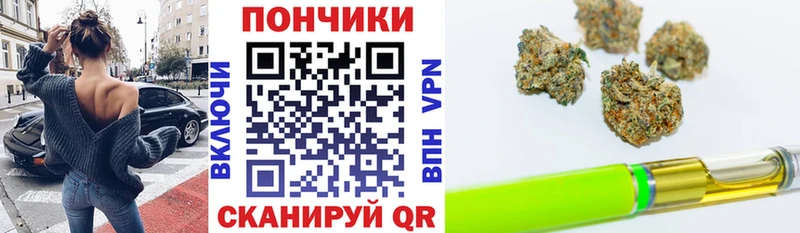 Купить где  Гаджиево  Канабис VHQ 